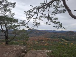 Wanderung Lindelbrunn Nov 2025